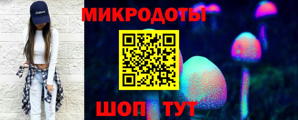 Псилоцибиновые грибы MAGIC MUSHROOMS  Галлюциногенные грибы MAGIC MUSHROOMS  Вход с VPN  что такое наркотик  Новозыбков 