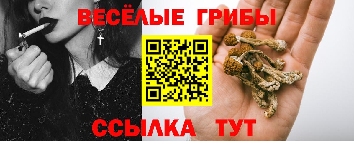 Галлюциногенные грибы GOLDEN TEACHER Новозыбков